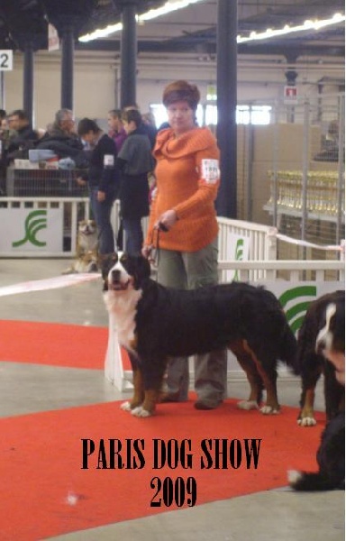 expositions 2009