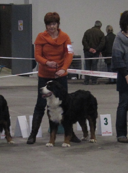 expositions 2010